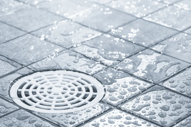 Linear drains